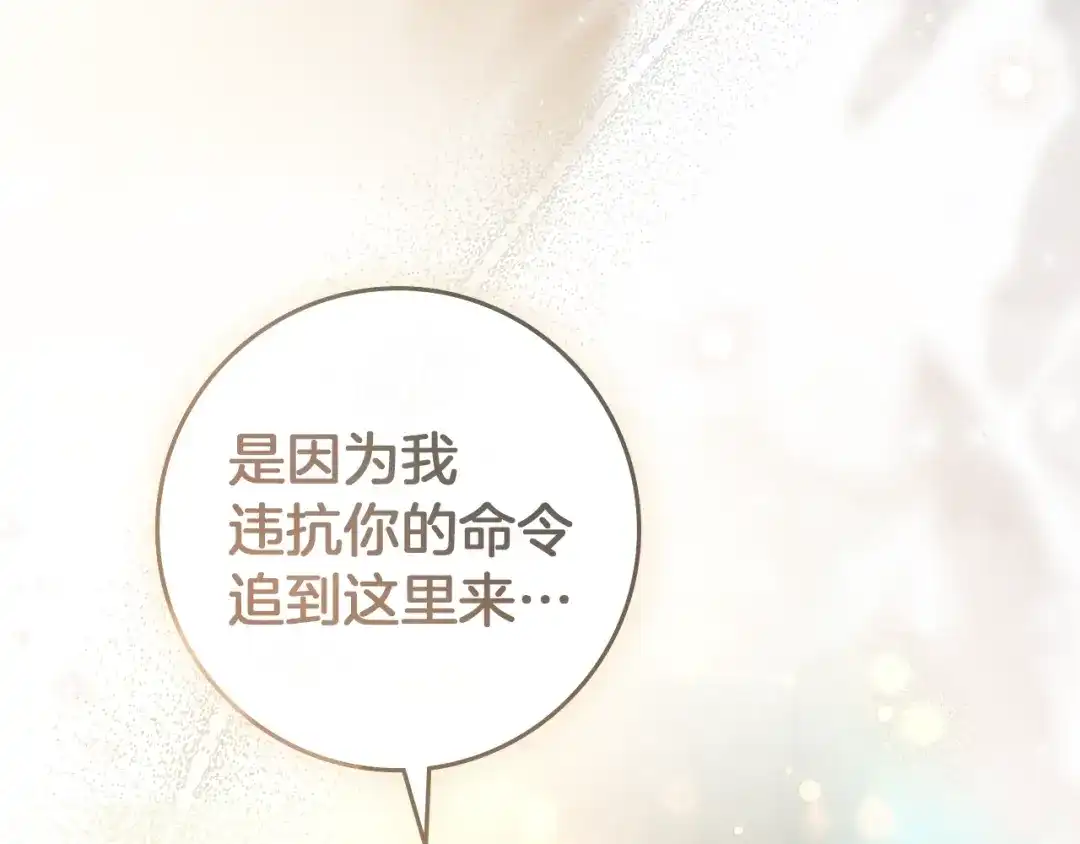 第236页