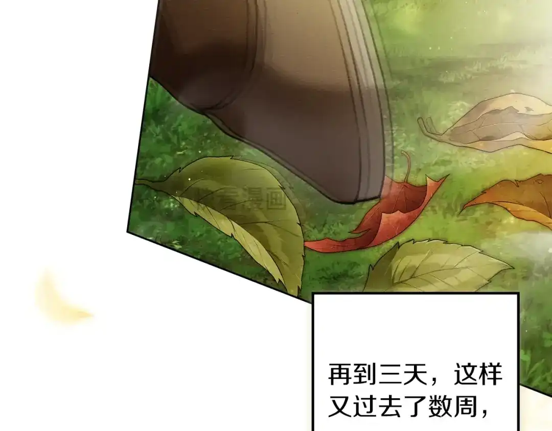 第202页
