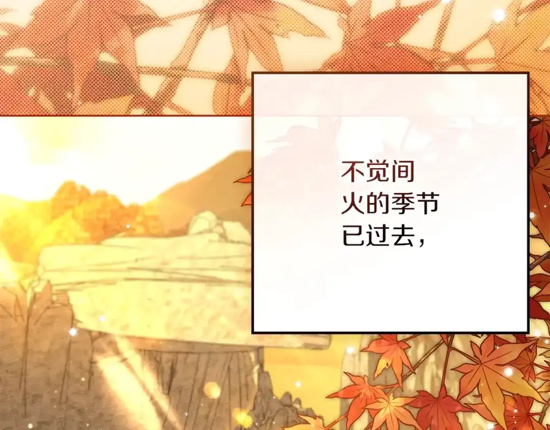 第205页