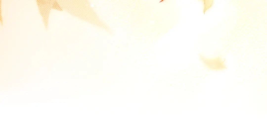 第209页