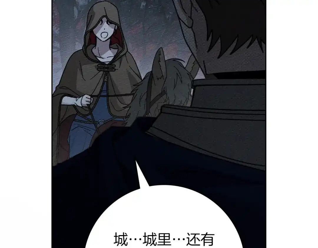 第204页