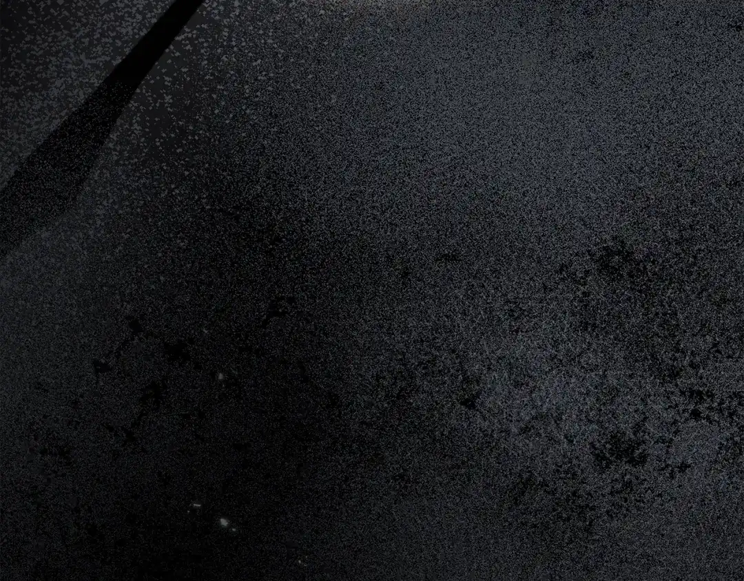 第225页