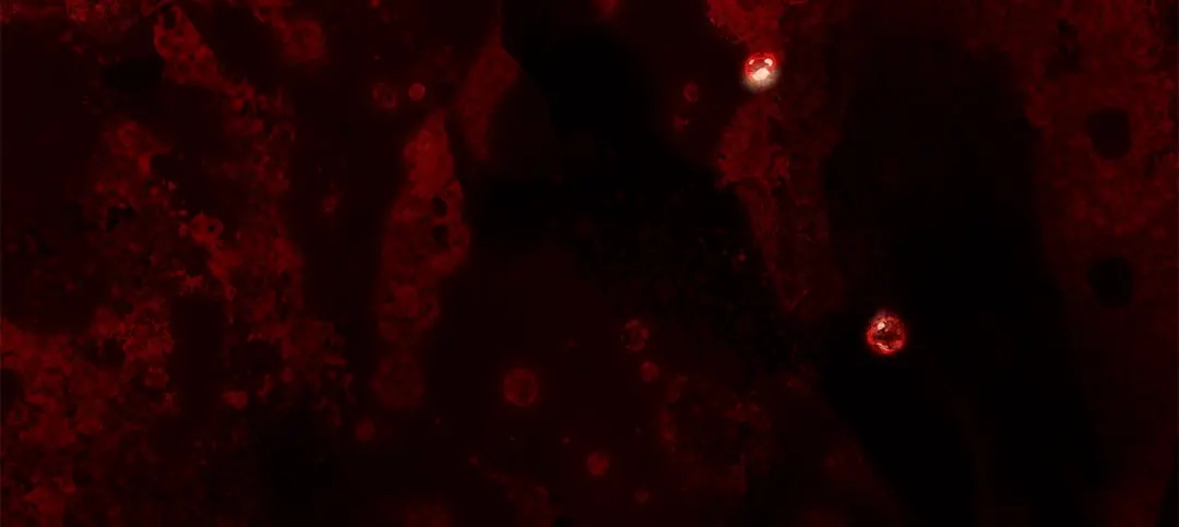 第190页