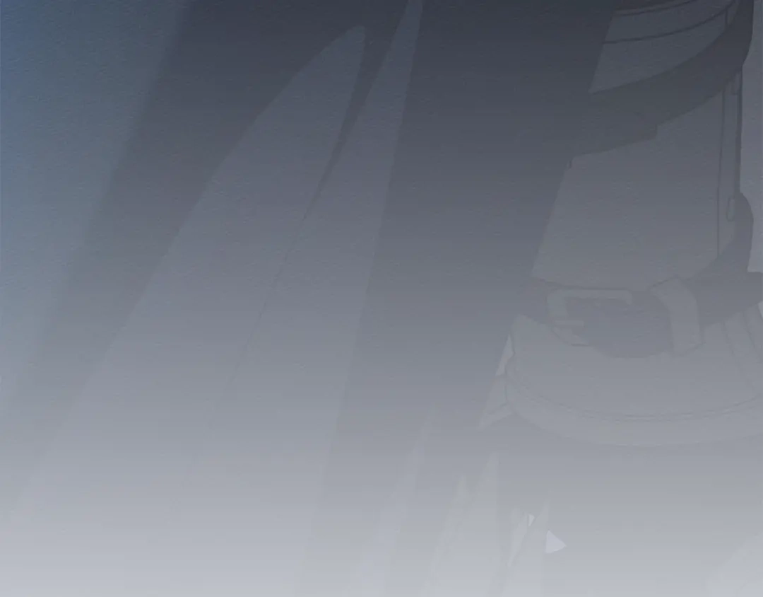 第217页