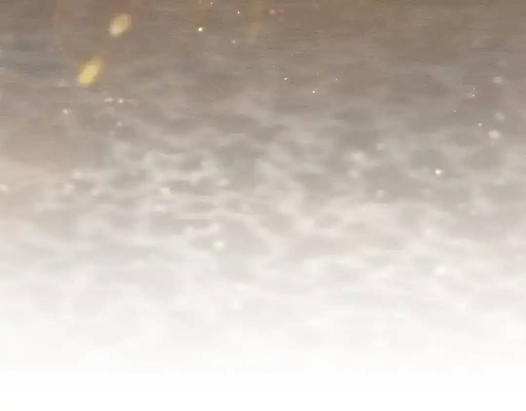 第194页