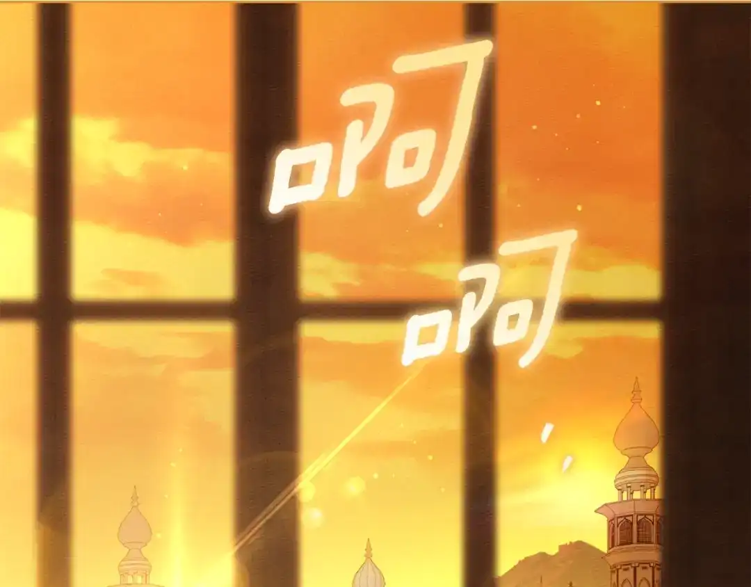 第221页