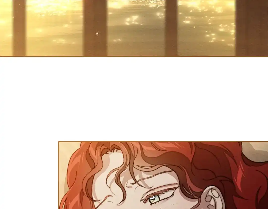 第223页