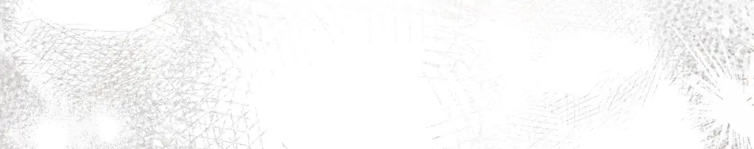 第243页