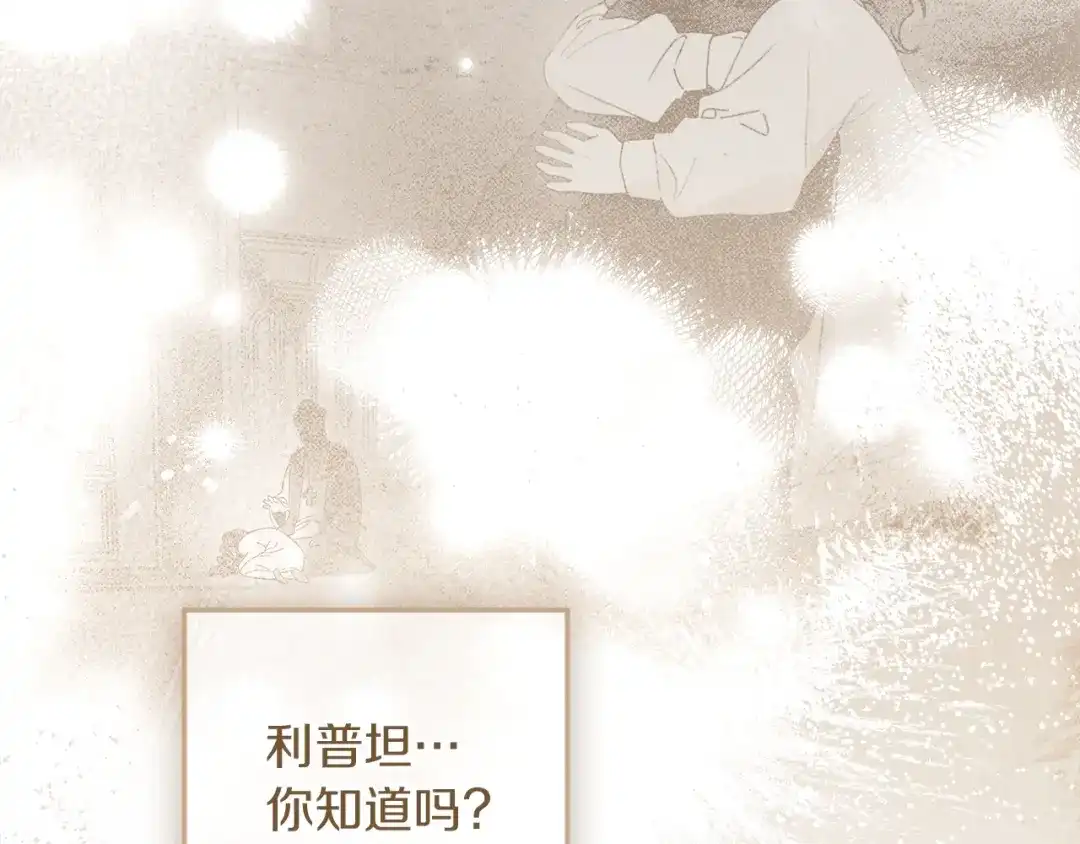 第246页