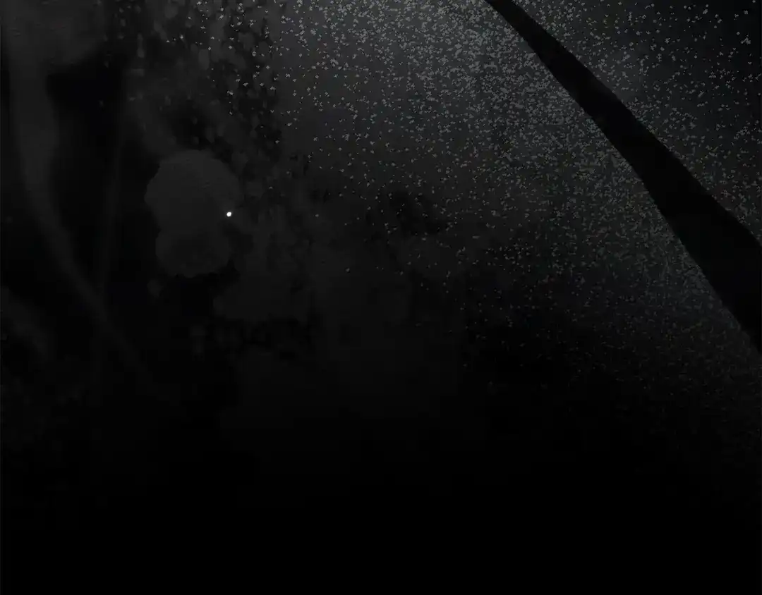 第213页