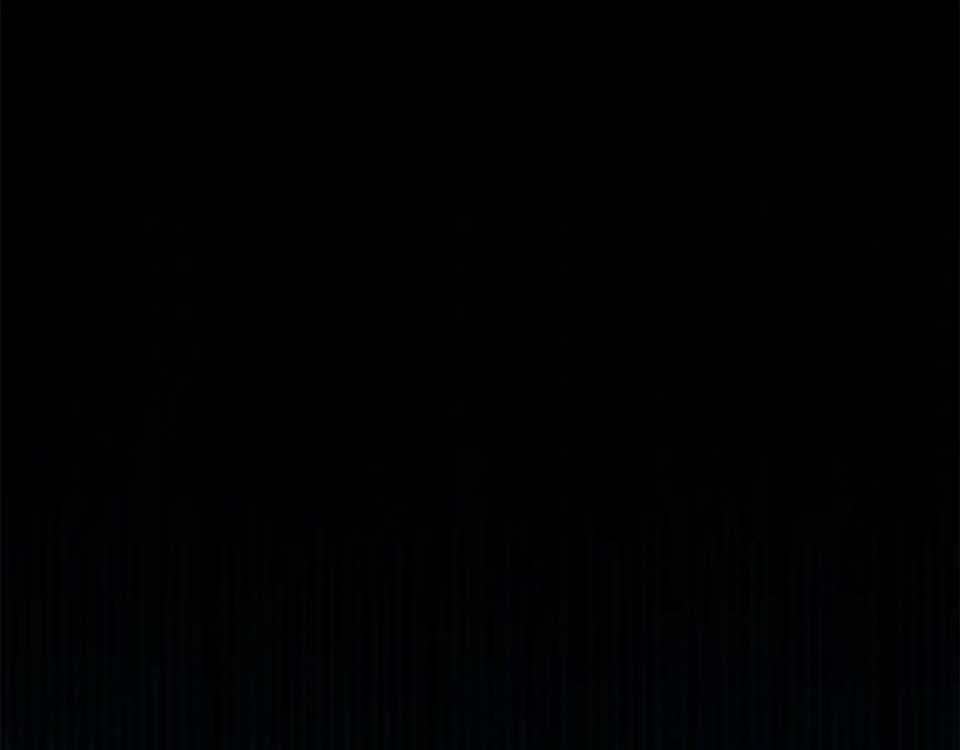 第215页