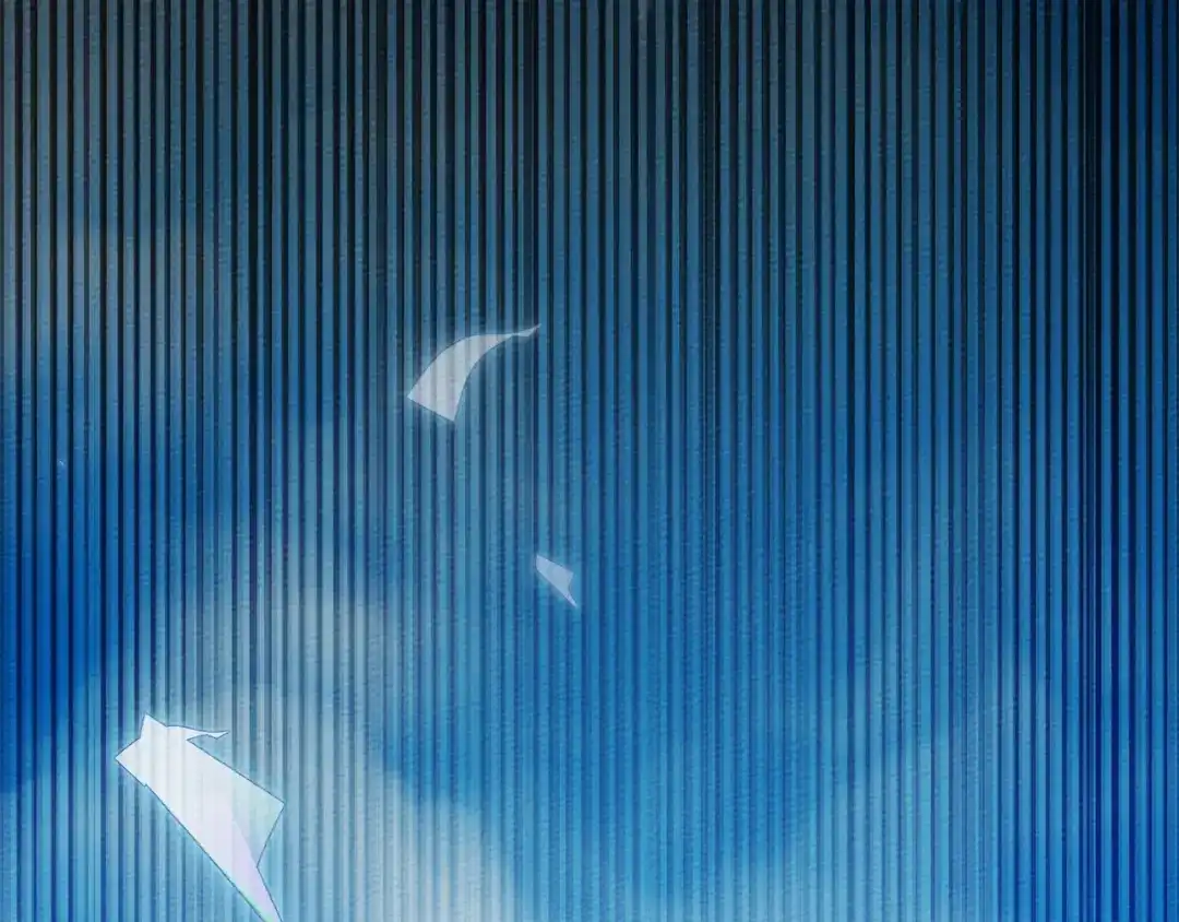 第217页
