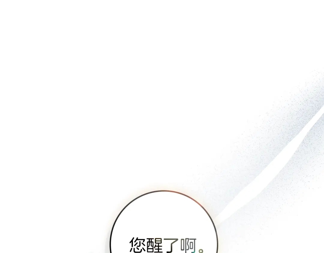 第236页