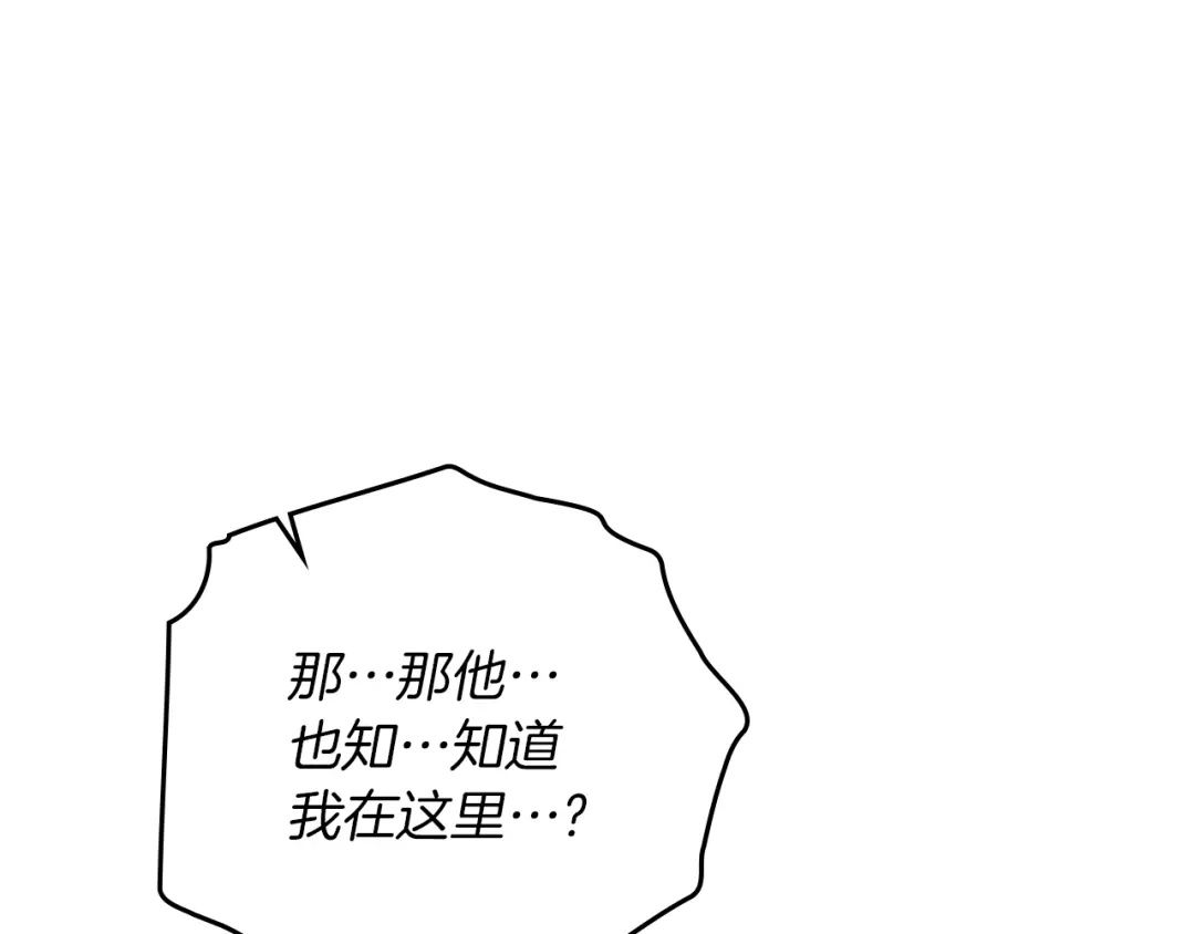 第223页