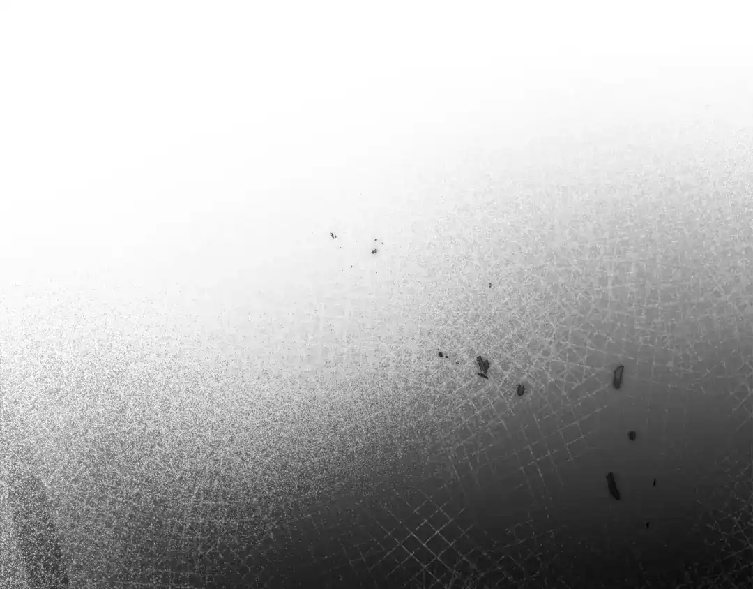 第233页