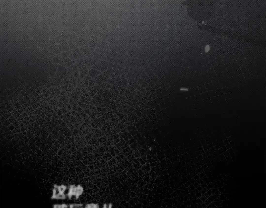 第239页