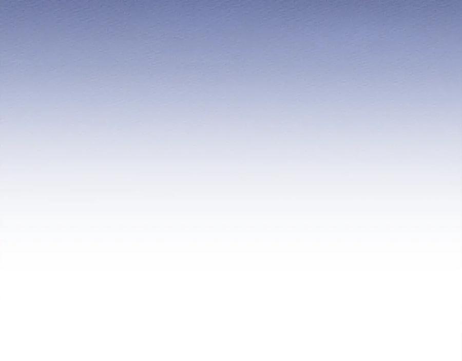 第238页