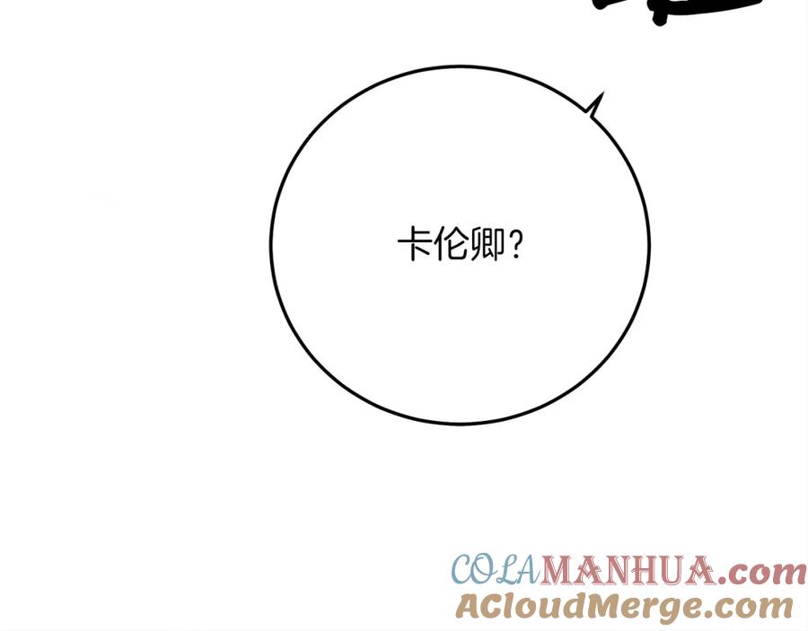 第221页