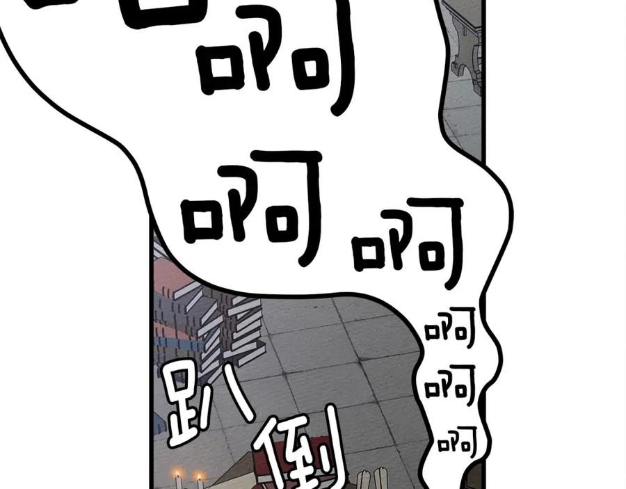 第254页