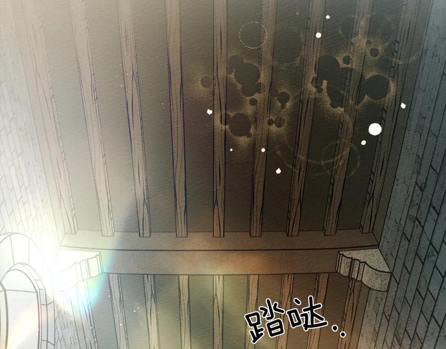 第242页