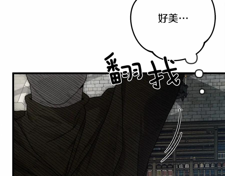 第243页