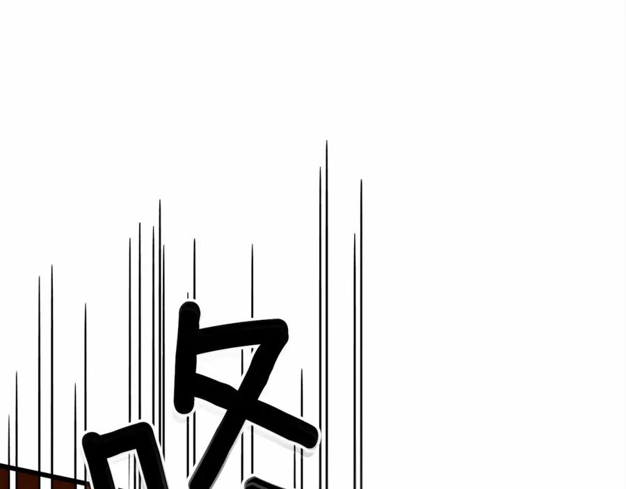 第247页