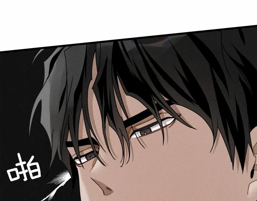 第219页