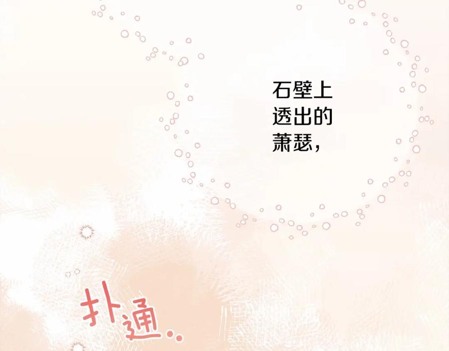 第248页