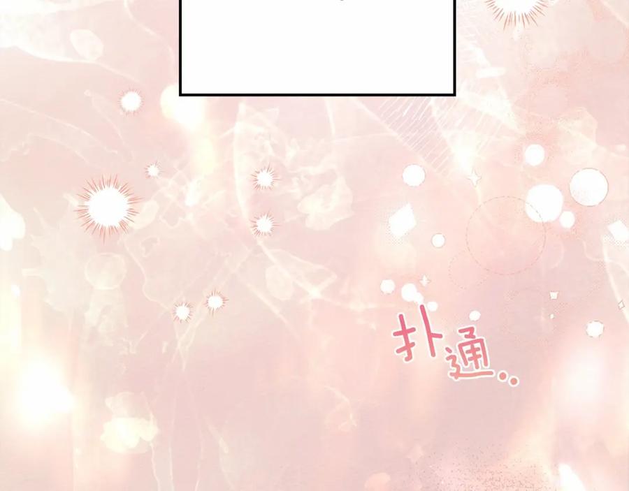 第254页
