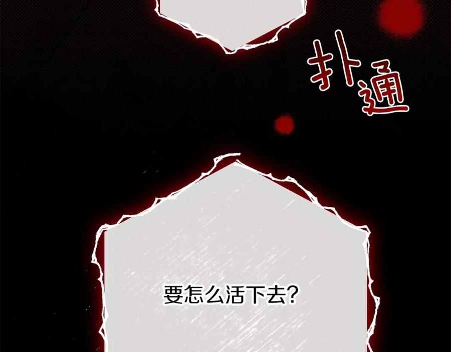 第271页