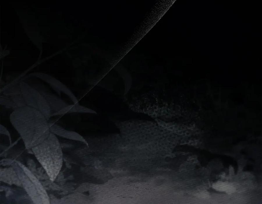 第107页