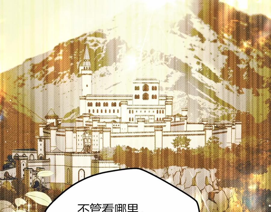 第254页