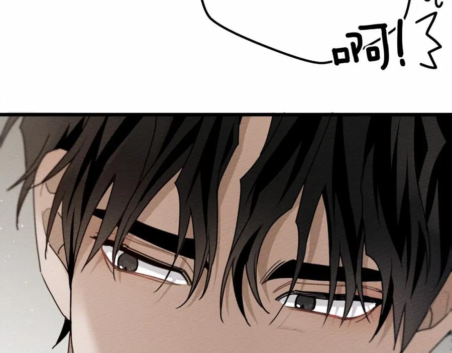 第260页