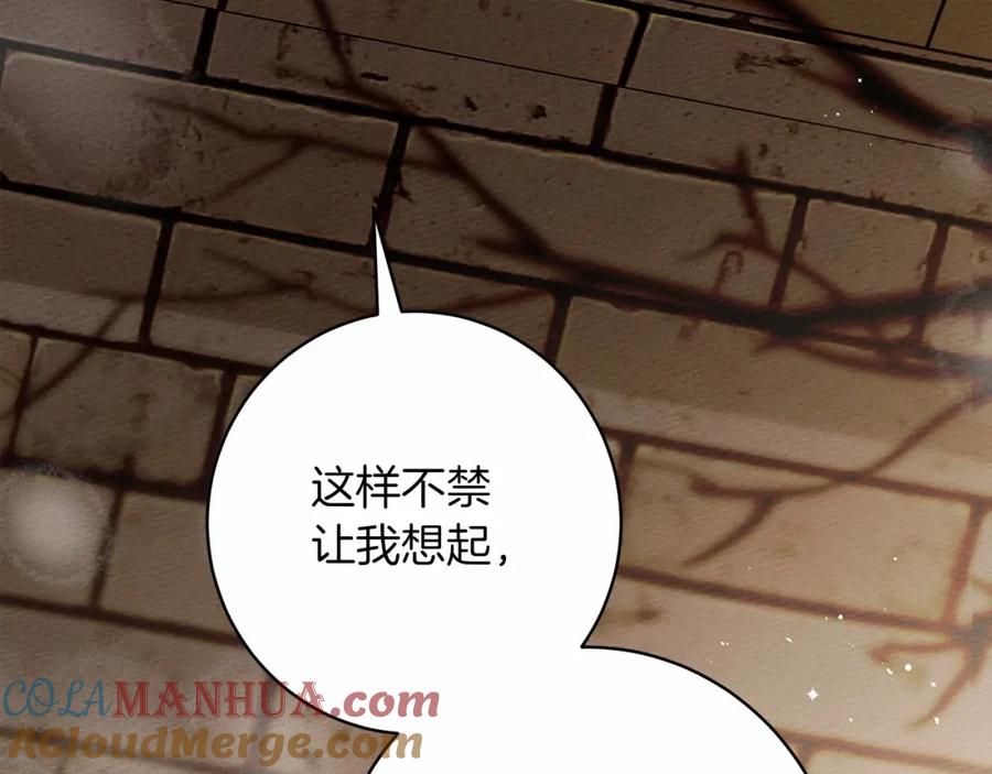 第221页