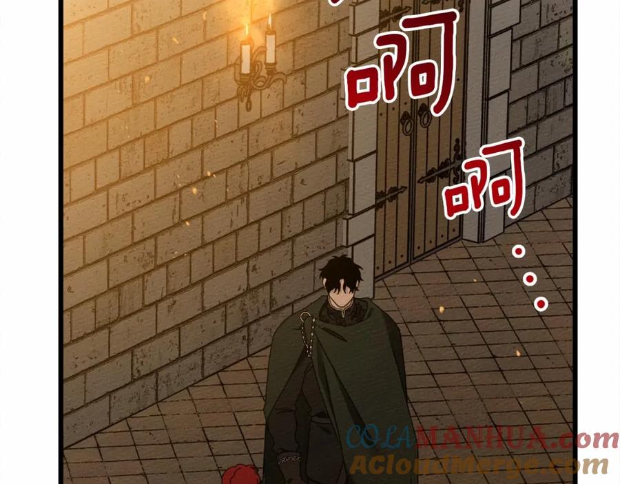 第217页