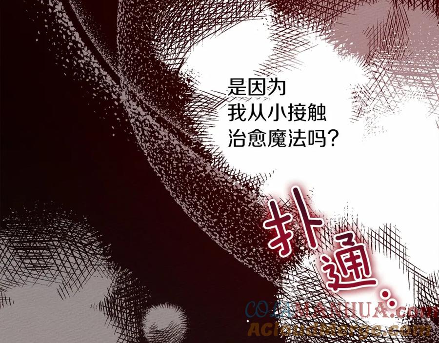 第205页