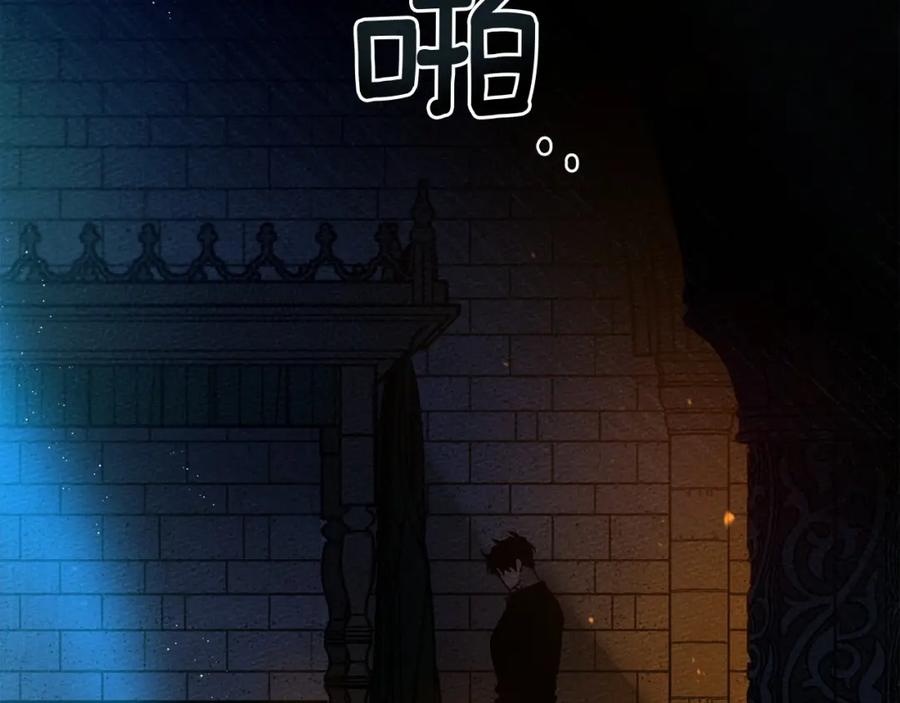 第224页