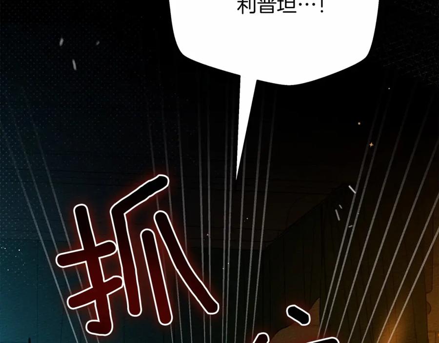 第235页