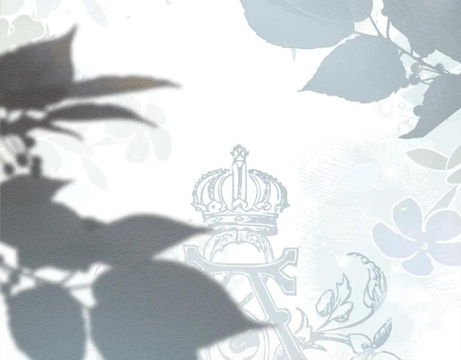 第244页