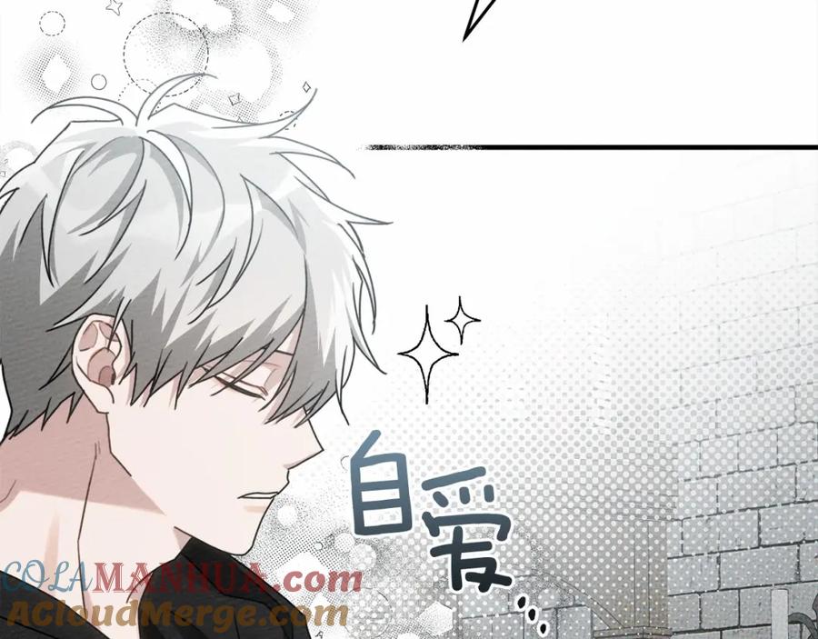第233页