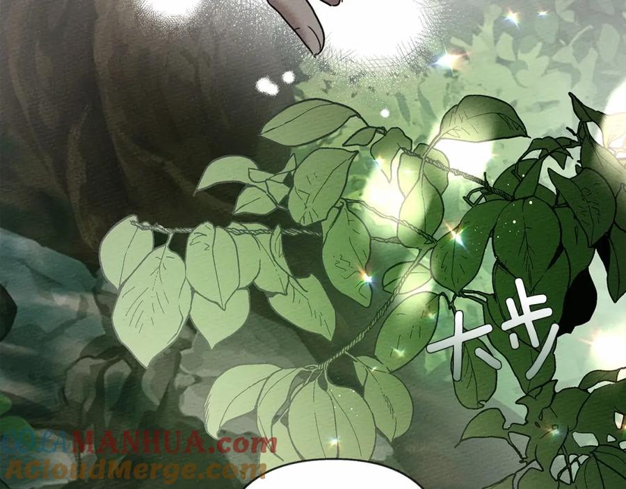 第221页