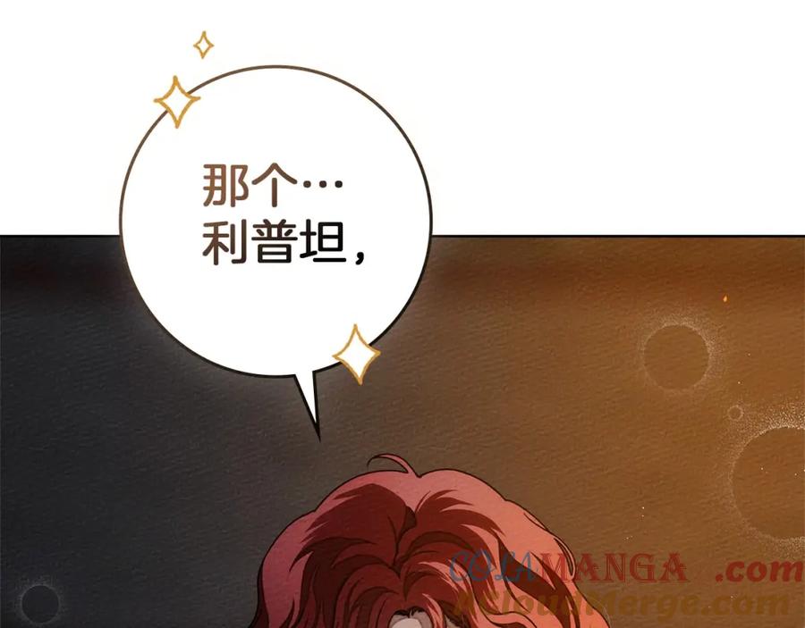 第205页