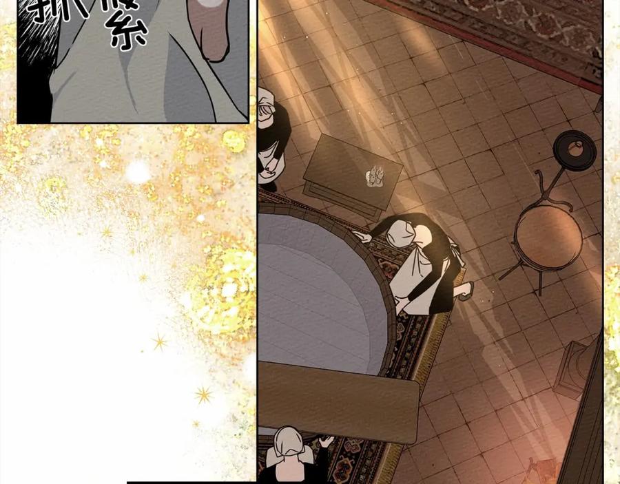第206页