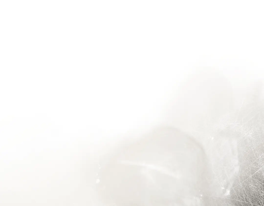 第221页