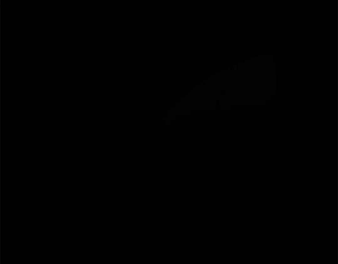 第239页