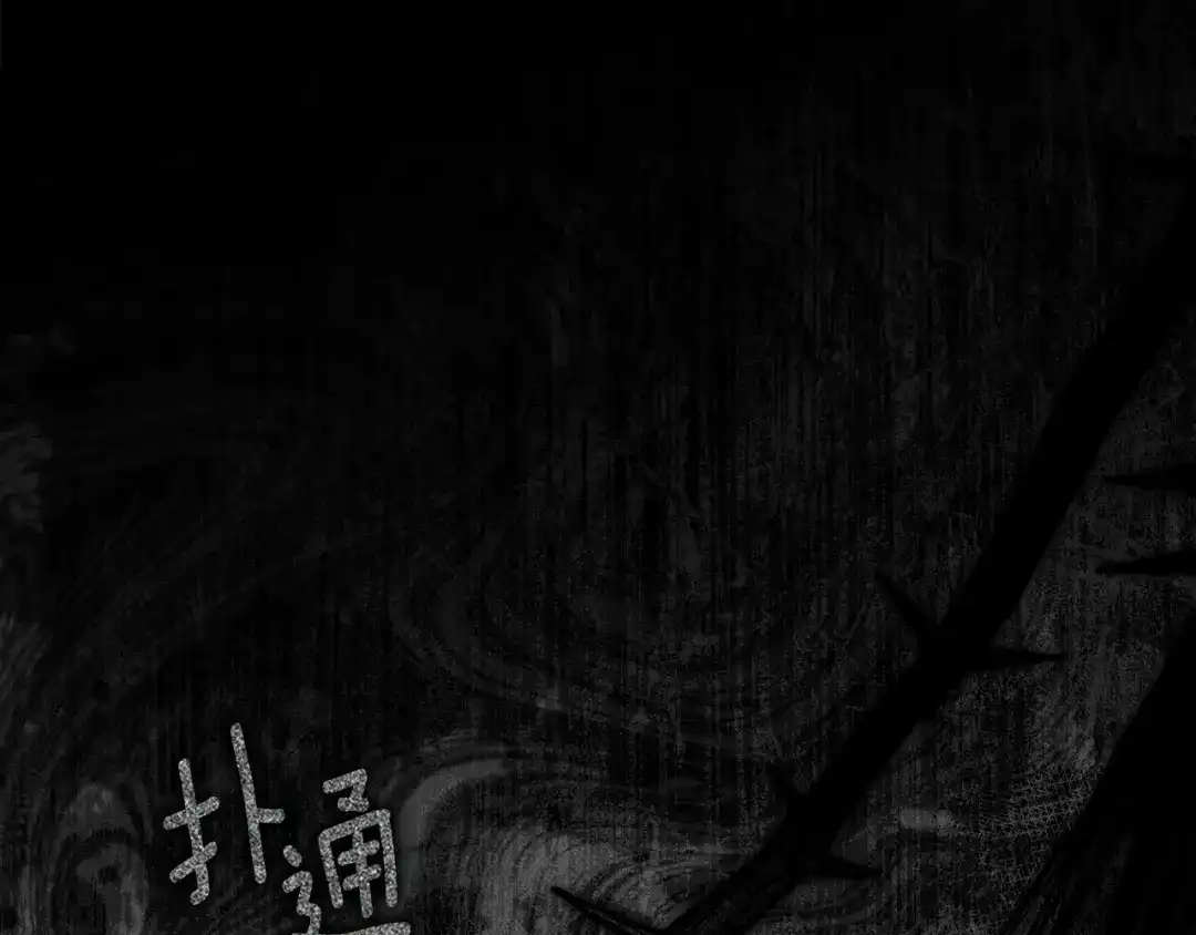第214页