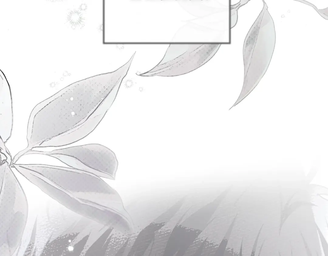 第226页