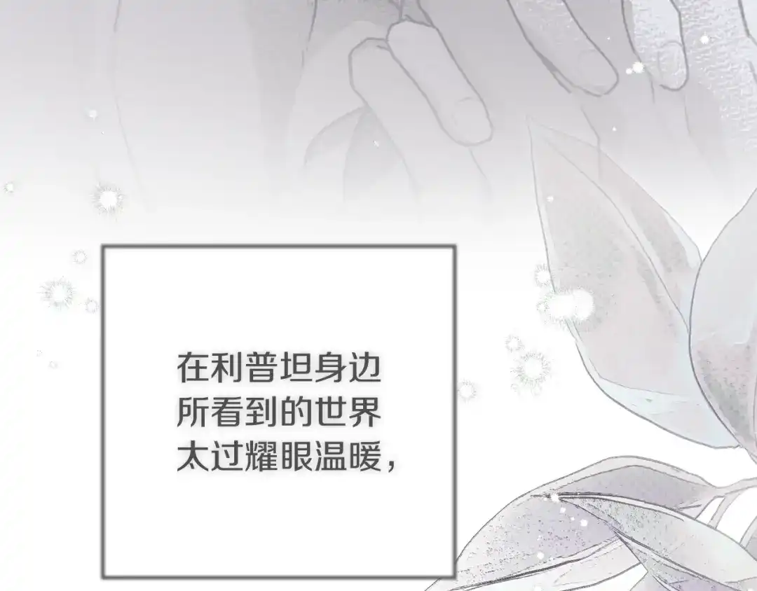 第228页