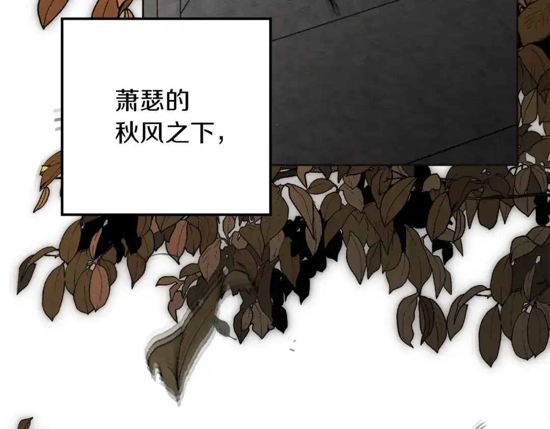 第257页