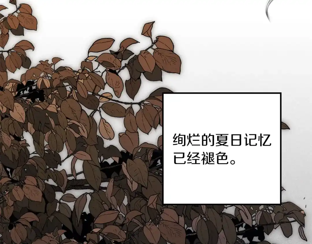 第258页